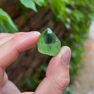 Ludwigite crystal specimen inside peridot