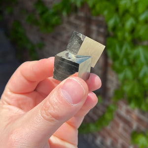 Pyrite Cubes