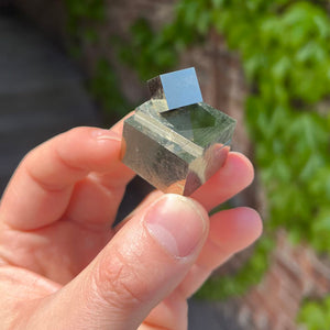 Pyrite Navajun Cubes