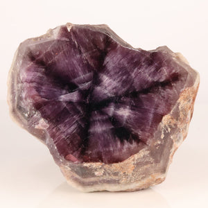 costa Marques amethyst crystal trapichi