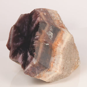 320g Costa Marques White Shell Trapiche Amethyst Crystal