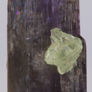 Diopside on Tanzanite Specimen Crystal