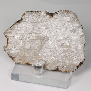 Real Muonionalusta Meteorite from Outer Space