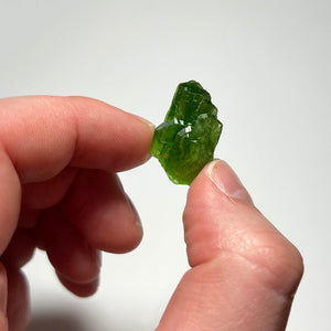 crystal size in hand of a tremolite