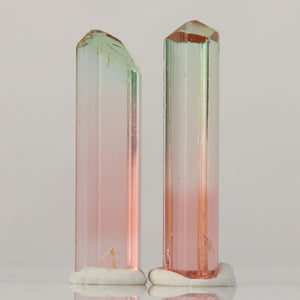 elongated tourmaline crystal pair africa bi color mineral specimen