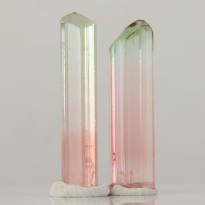 bi color tourmaline crystal pair congo green to pink zoning natural crystals
