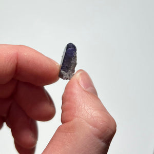 tanzanite crystal with phrenite in hand for size reference