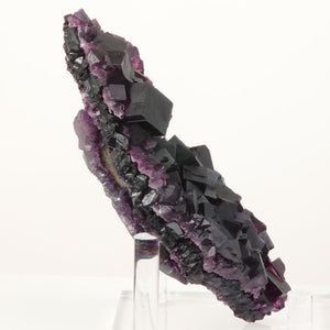 hand-sized Chinese fluorite cluster displaying rich violet coloration