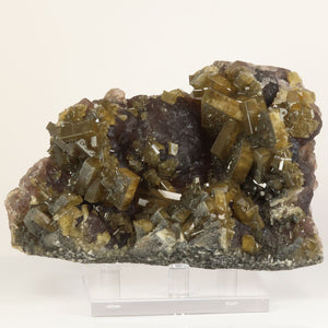 Golden barite crystals on purple fluorite matrix from Xie Fang China