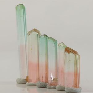six tourmaline crystals with mixed sizes and soft color zoning