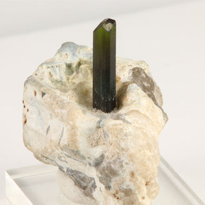 Front view of a single terminated green tourmaline crystal surrounded by thick white matrix from Kunar, Afghanistan.