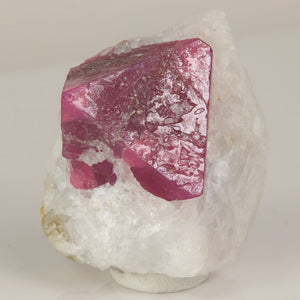 Mahenge spinel in matrix Tanzania red crystal