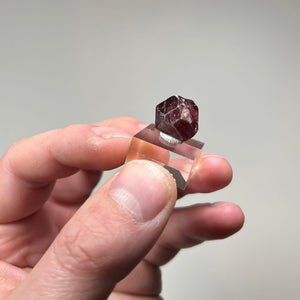 Natural zircon specimen showing geometric crystal shape and internal reflections
