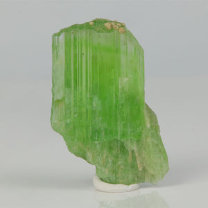 neon green tremolite crystal specimen from tanzania thumbnail mineral