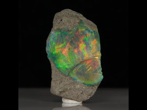 25.81 Carat Hydrophane Opal Rough