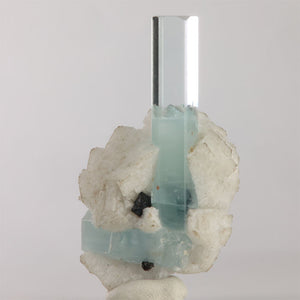 Transparent aquamarine crystal rising from a thick white mineral matrix with a contrasting black crystal from Shigar Mine, Pakistan.