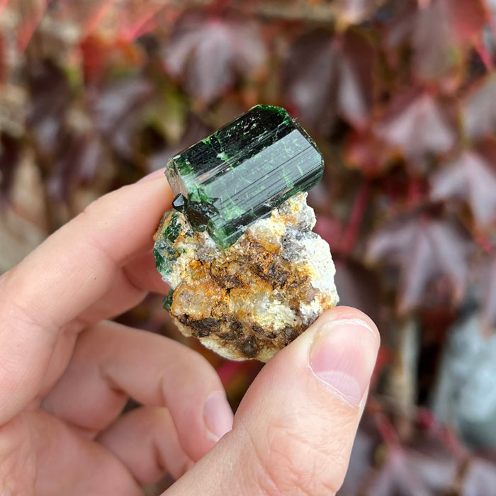 Dark Green Tourmaline Crystal Specimen on Matrix from Tanzania
