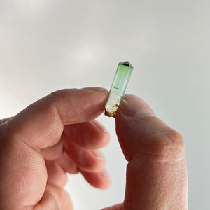 Light Green Tourmaline Crystal Specimen from DRC