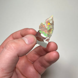 Welo opal delicate natural specimen with bright color