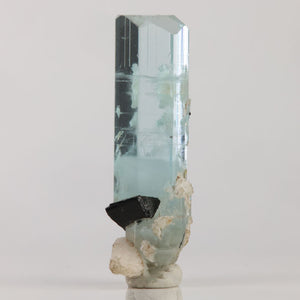 Aquamarine specimen with prominent black mineral inclusion near the base and delicate blue coloration.