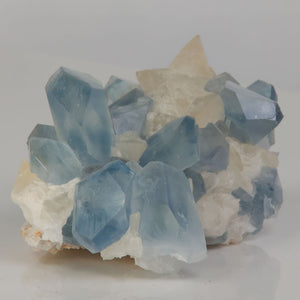 celestite cluster soft blue crystals Ohio quarry