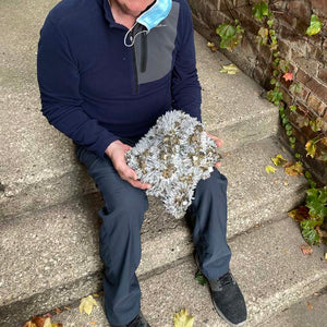 Museum Quality Pyrite & Quartz from Peru