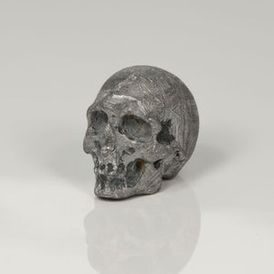 Meteorite gibion skull carving