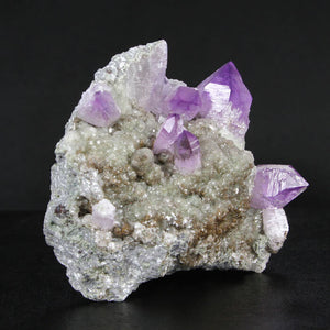 Amethyst Crystal Specimen