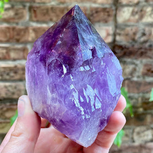Ametrine Crystal Point Raw Mineral Specimen Bolivia