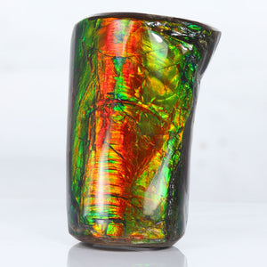 Canadan Ammolite Fossil Green Red