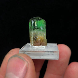 Bicolor raw tourmaline crystal green pink red