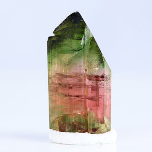 Watermelon Tourmaline Crystal Specimen