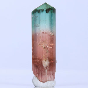 Bicolor Congo Tourmaline Crystal Mineral Specimen