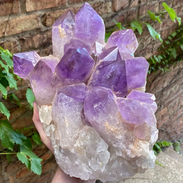 Extra Large Amethyst Raw Crystal Cluster Home Decor