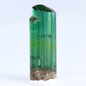Blue Green Raw Tourmaline Crystal Specimen