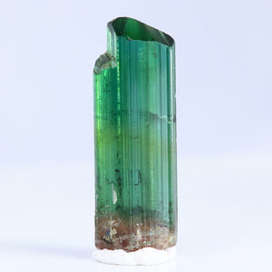 Blue Green Tourmaline Crystal Brazil