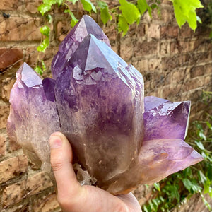 Amethyst Big Crystal Cluster Anahi Mine Bolivia