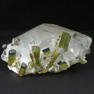 Multiple Bi-Color Tourmalines in a Quartz Crystal