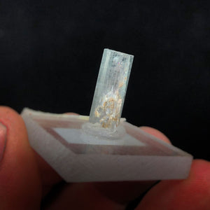 Steely Blue & Pink Core Tourmaline