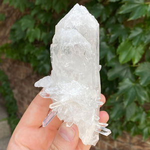 Colombian Quartz Crystal Mineral Specimen
