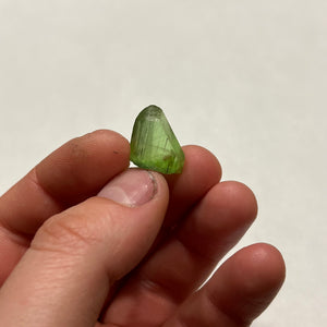 Peridot Crystal Mineral Specimen