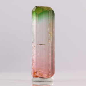 Congo Tourmaline Mineral Specimen Green Tip Tricolor
