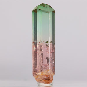 Bicolor Congo Tourmaline Rough Crystal Specimen