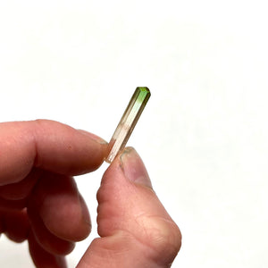 Congo Tourmaline Crystal TriColor