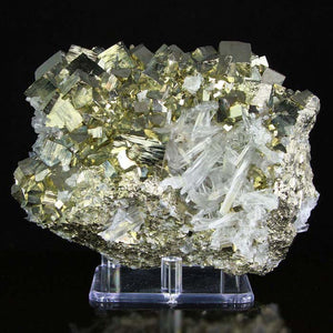 Pyrite Quartz crystal mineral specimen peru