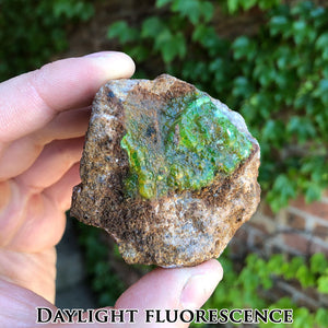 Daylight Fluorescent Hyalite Opal Specimen