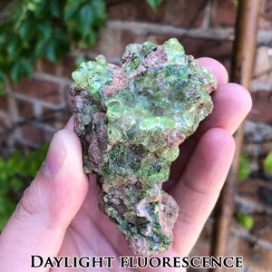 Hyalite Opal from Zacatecas Mexico