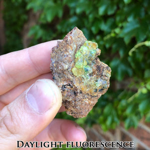 Fluorescent Opal Mexico