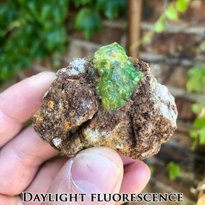 Daylight fluorescent hyalite opal zacatecas
