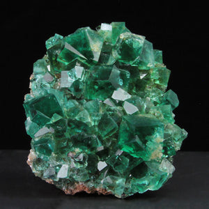 Diana Maria Daylight Fluorescent Fluorite